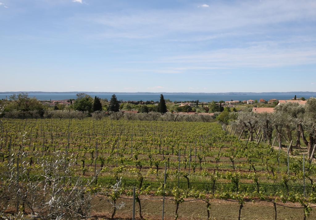 Appartamenti Bellavista Bardolino Luaran gambar